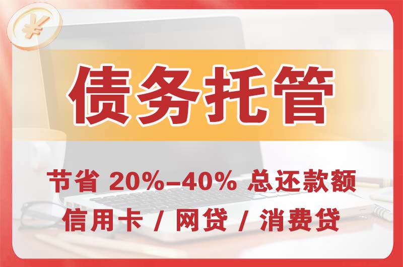 施甸债务托管